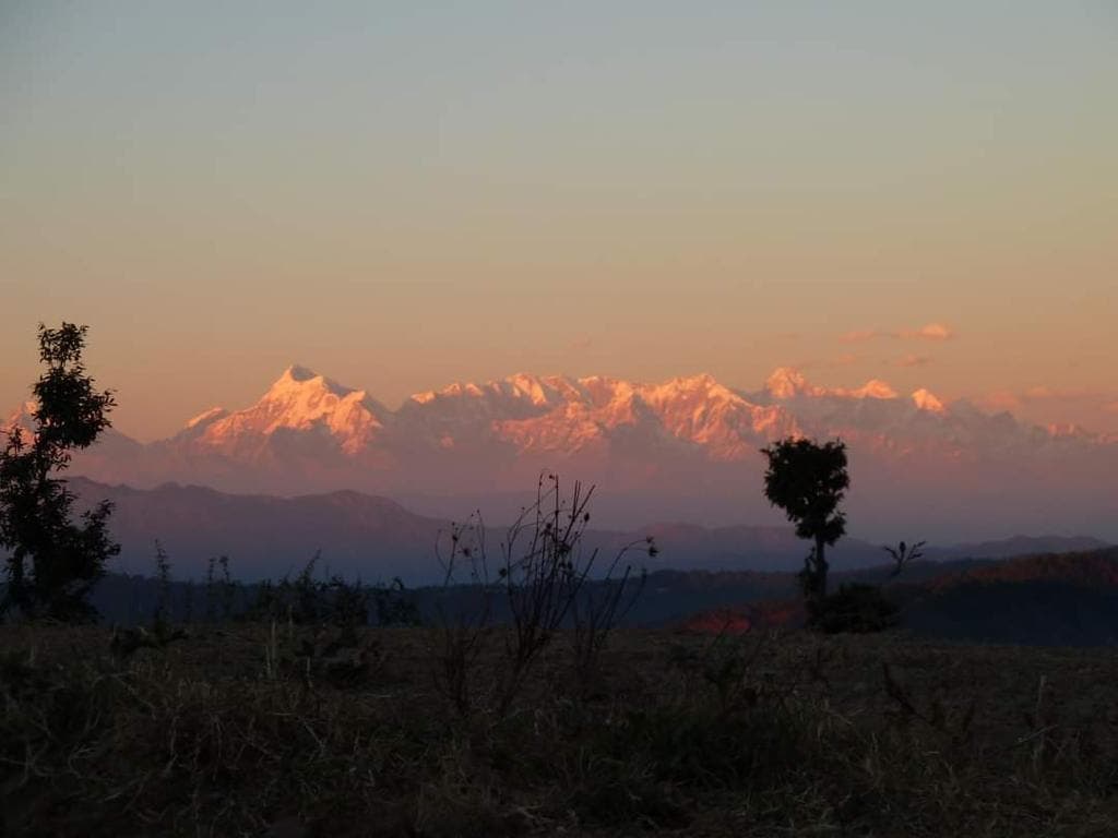 Ayurvedic & Wellness Retreats